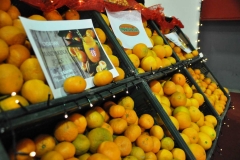 bazar 2017 (2)