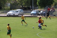 vukovar turnir4