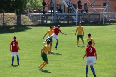 vukovar turnir5