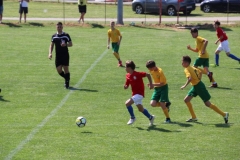 vukovar turnir6